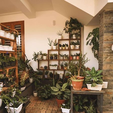 Mistygreen Homestay Thekkady Dış mekan fotoğraf