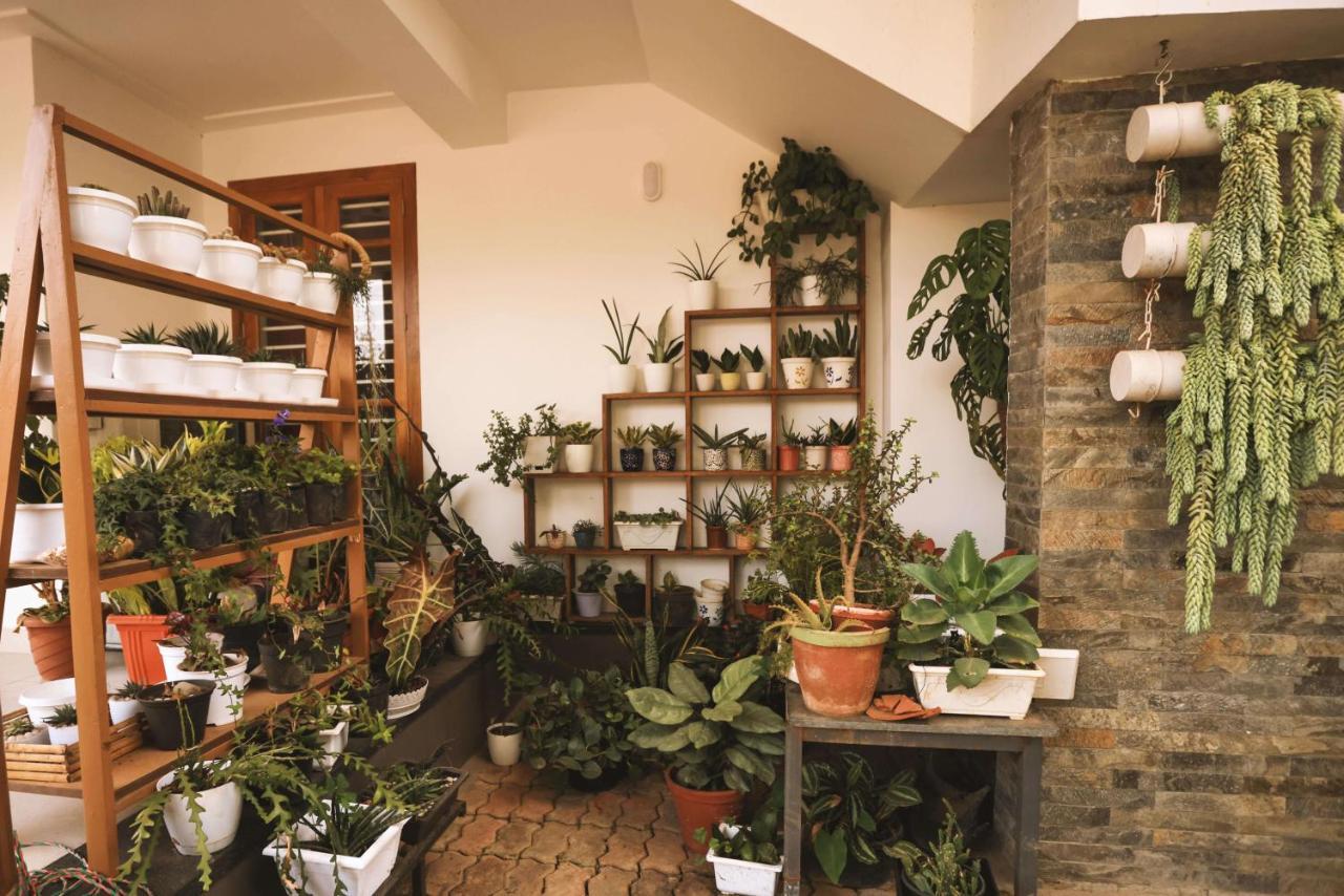 Mistygreen Homestay Thekkady Dış mekan fotoğraf